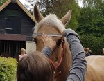 Afbeelding invoegen